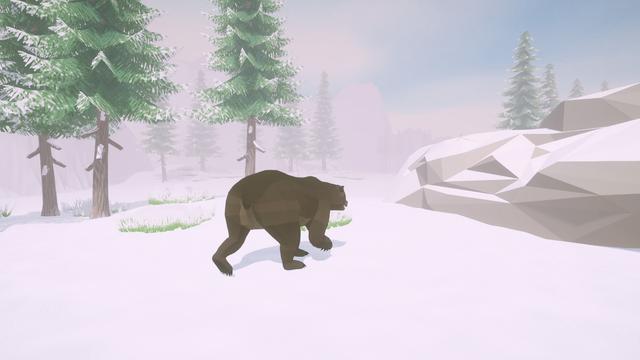 Cold Land's background