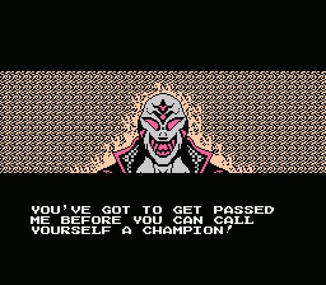 Tecmo World Wrestling's background