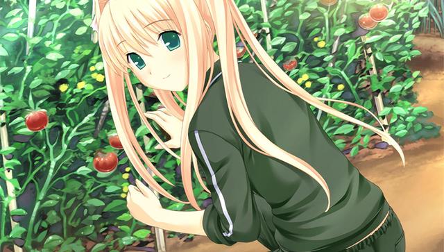 Kono Aozora ni Yakusoku wo's background