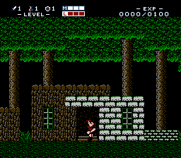 The Legend of Zelda: Shadow of Night's background
