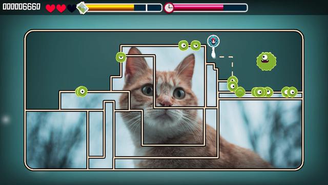 Animal Puzzle Cats's background