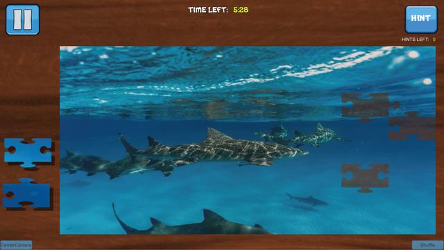 Bepuzzled Jigsaw Puzzle: Aquatic's background