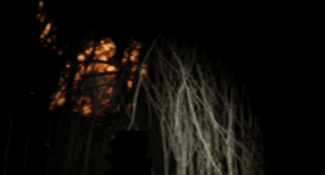 See No Fear's background