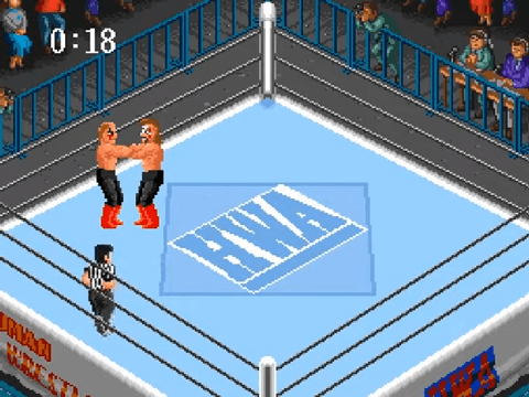 Super Fire Pro Wrestling's background