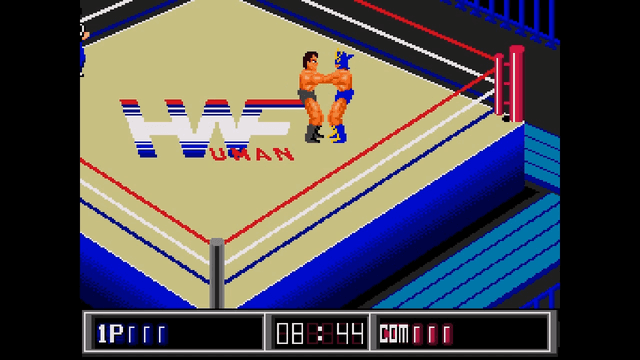 Thunder Pro Wrestling Retsuden's background