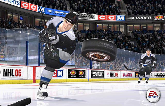 NHL 06's background