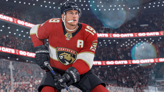 NHL 24's background