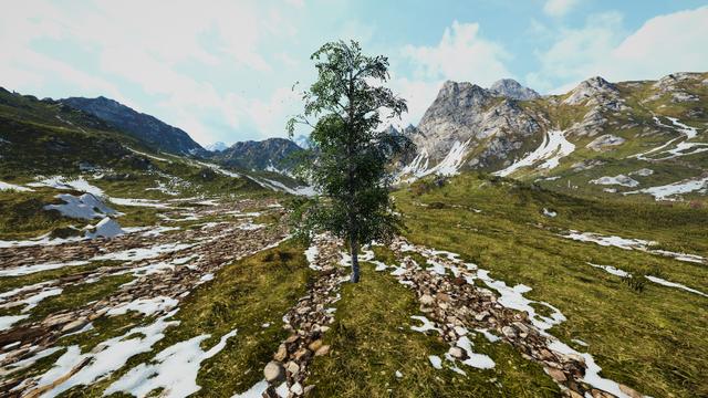 Birch Simulator's background