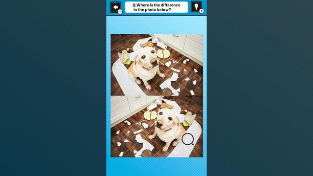 Train Your Brain! Spot the Difference with Dog Photos's background