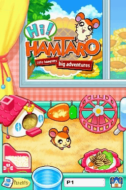 Hi! Hamtaro: Ham-Ham Challenge's background