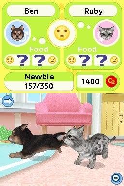 Petz Puppyz and Kittenz's background