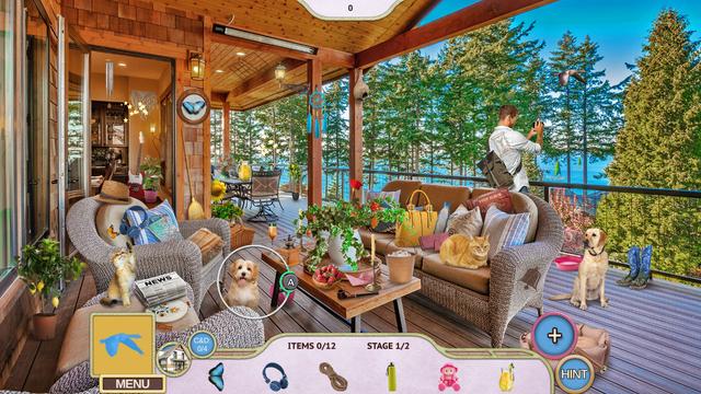 Sweet Home 2: Look and Find - Collector's Edition's background