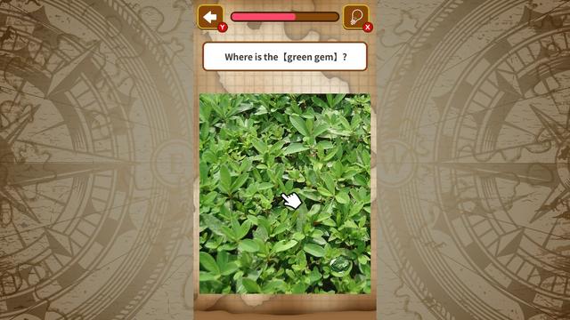Picture Treasure Hunt's background