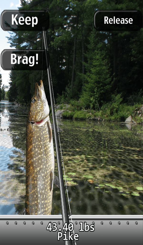 iFishing's background