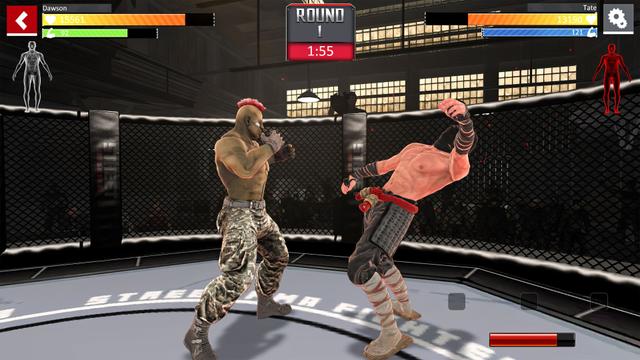 Street Combat: Ultimate MMA Fighters's background