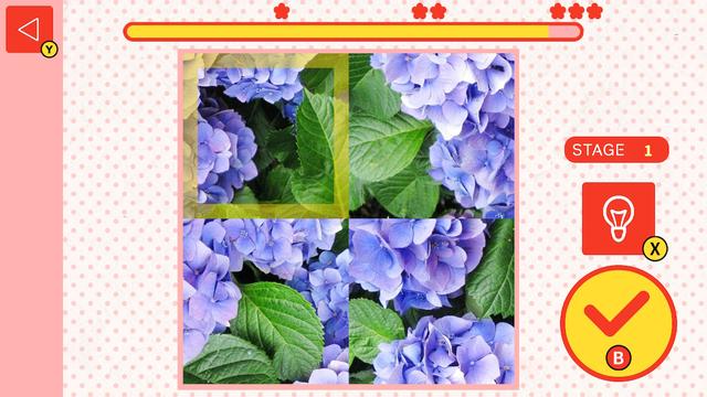 Flower Spinner Puzzle's background