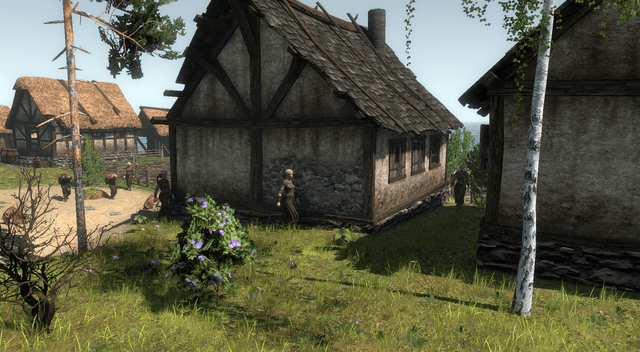 Life is Feudal: Forest Village's background