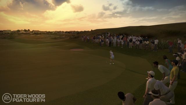 Tiger Woods PGA Tour 14's background