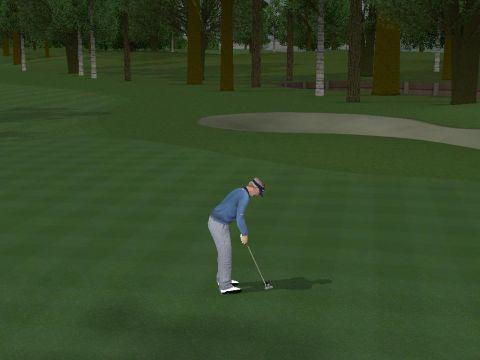 ProStroke Golf: World Tour 2007's background