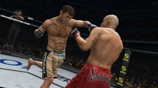 UFC Undisputed 3's background