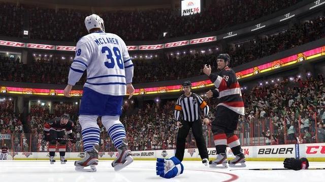 NHL 14's background