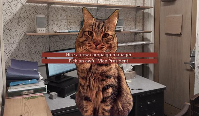 Cat President: A More Purrfect Union's background