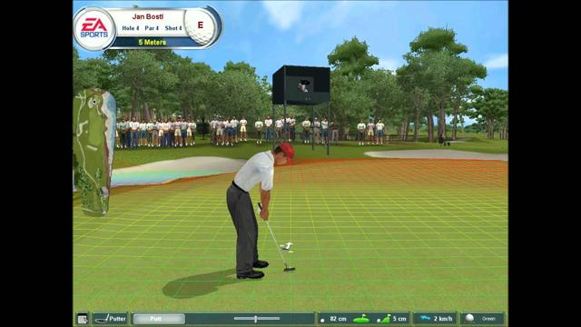 Tiger Woods PGA Tour 2002's background